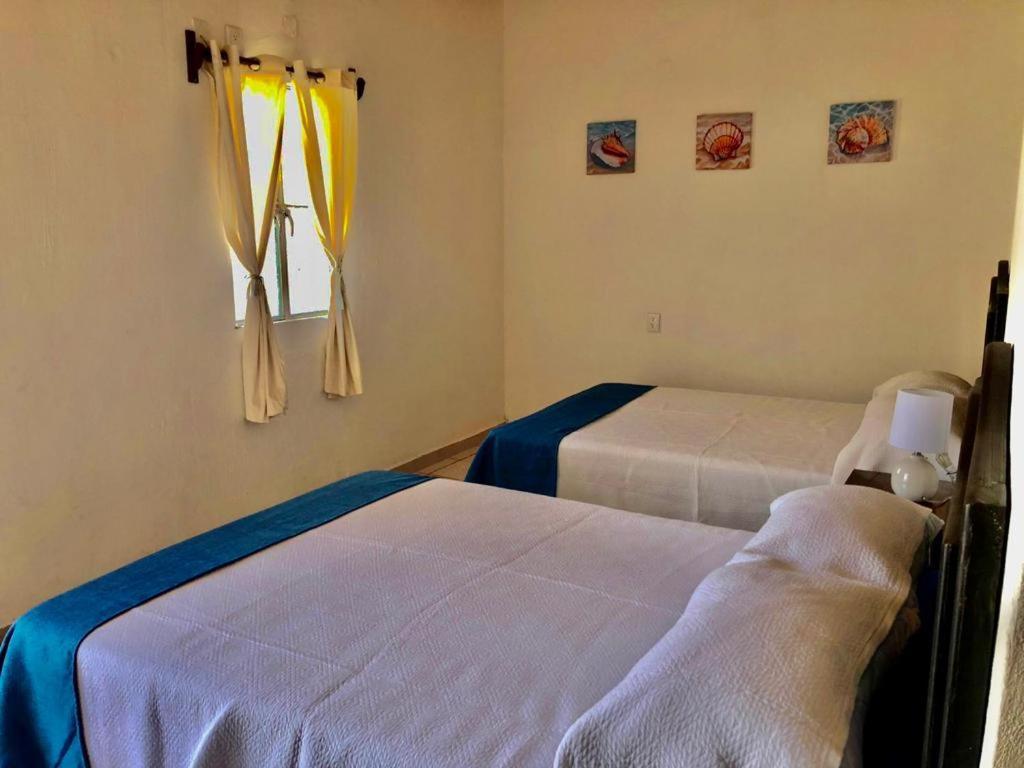 La Pucca Hotel Boutique Resort بينيتا دي جالتيمبا المظهر الخارجي الصورة