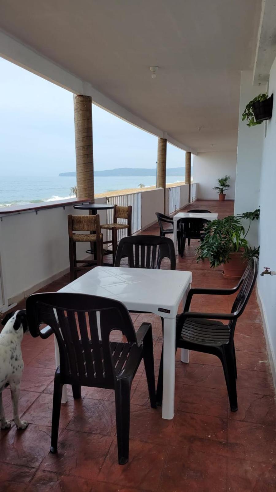 La Pucca Hotel Boutique Resort بينيتا دي جالتيمبا المظهر الخارجي الصورة